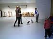 11-thumb Puppy Training Indoor Group Classes Sheppey Sittingbourne Medway Towns Faversham Canterbury Maidstone Kent